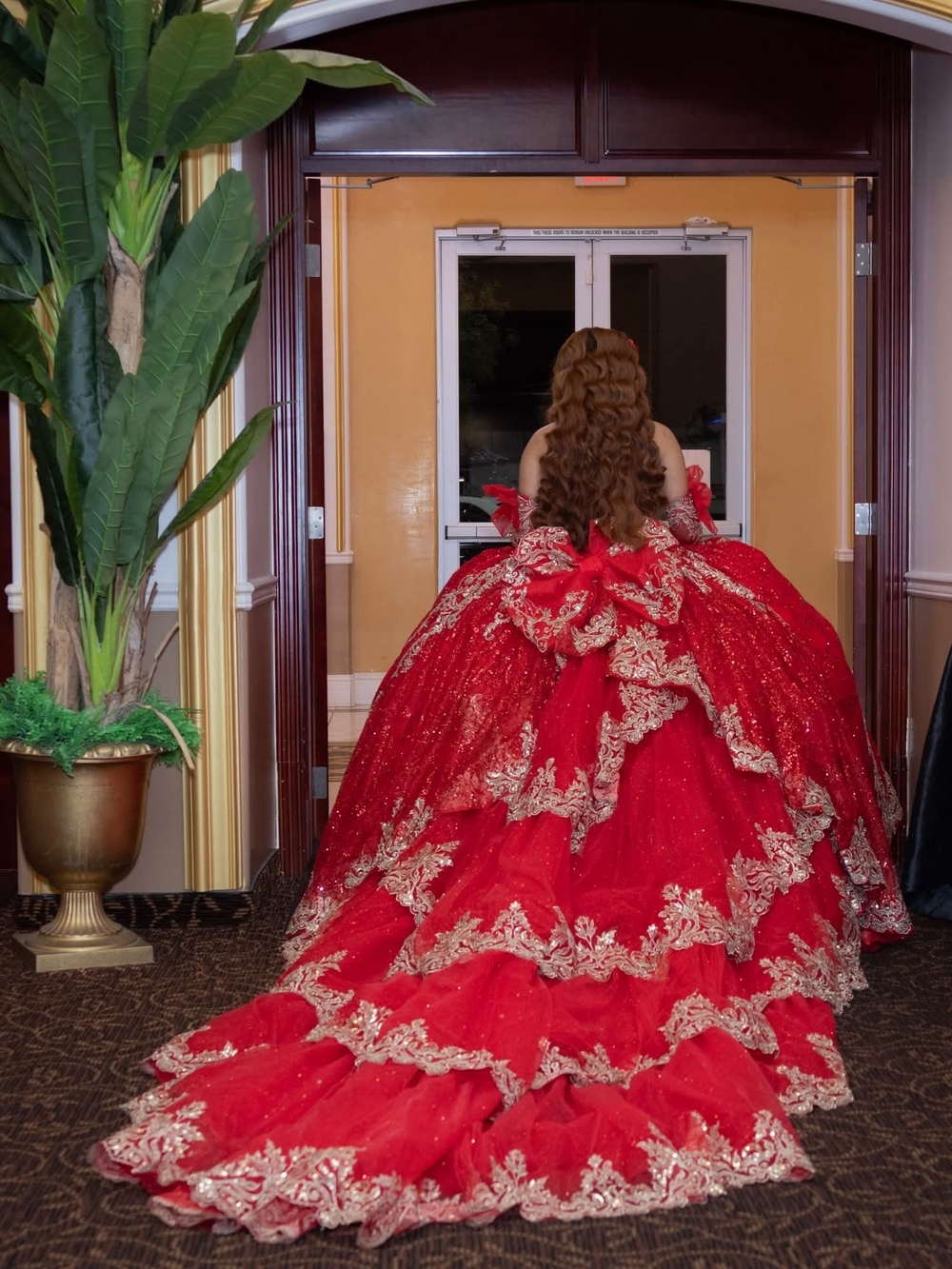 Red Lace-Trim Ball Gown Dress for Girls